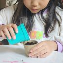 친환경 화분 만들기 이미지