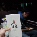브이아이피리무진투어