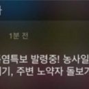 바블리왕만두
