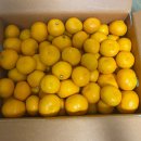 정우배농장 이미지