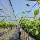 김천시 문화회관 이미지