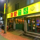 부어치킨하양점 | [대구] 달서구 조개구이 맛집 하양끝집 내돈내산 솔직후기
