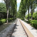 경춘선숲길 이미지