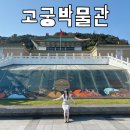 써니 SCHOOL | 대만 고궁박물관 도슨트 투어 내돈내산 티켓 할인 팁