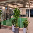 드림54 골프아카데미 이미지