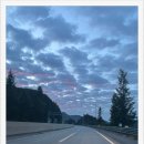 샬롬유치원 | 단양 펜션 힐링 여행기 : 샬롬펜션에서 삼둥이 아이들과 봄맞이 주말여행 갔어요.