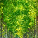 동화속으로 이미지