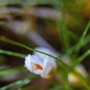 구암농장 이미지