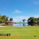 잔디골프투어 이미지