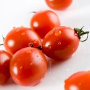 토마토2 이미지
