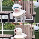 꿈이룸 펜션 이미지