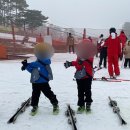파파태권도장 | 10살, 8살 지산리조트 스키캠프 고고‼️ 지산 스키강습 후기