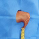 미사튼튼병원 이미지