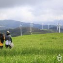 천지목장 이미지