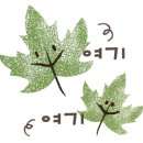 이향가든 이미지