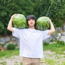 천하BTS 이미지
