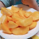 철호농장 이미지