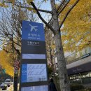 구룡사 앞 교차로 이미지