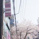뮤리에르네일 이미지