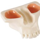 한일 soft 이미지