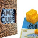 아미스(AMIS) 이미지