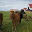 이산화탄소를 돌로 바꾸다: 지속 가능성을 향한 아이슬란드의 혁신적인 노력 내부 이미지