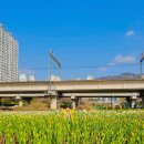 금곡대로 347번길 이미지