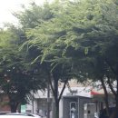 삼우애드 이미지