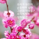 에벤에셀 이미지