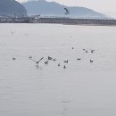 목향민박 이미지