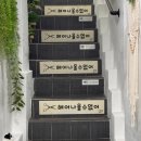 카로레더 | 부평 헤어나올수없어 | 르미네상스 모발클리닉으로 극손상모 심폐소생술 받은 리얼 후기