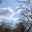 동락다방