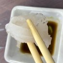 강원도 양양 낙산사 내돈내산 횟집 추천 / 회가 펄펄 살아 있는 양씨네 자연산 횟집 다녀온 후기