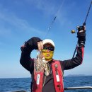 물쌍거리 이미지