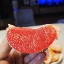 개를 미용하는 남자 | '26.3월의 일상