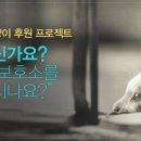 이리온 이미지