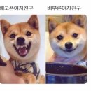 지금 제주