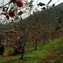 한울농원 이미지