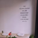 열바나자연미인 이미지