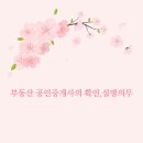 금빛공인중개사사무소 이미지