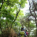 운길산장어 이미지