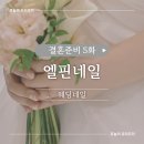 엘핀네일 이미지