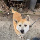 병태농장 이미지