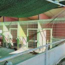 방장목장 이미지