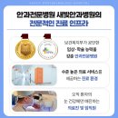 새빛안경콘택트