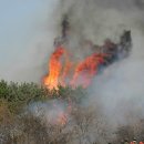 진화목장 이미지