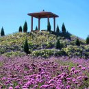 동굴가든 이미지