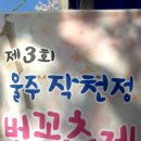 심상철자동차정비 | [울산] /언양 /작천정 #벚꽃구경 #벚꽃축제 나들이 #벚꽃명소 3월 마지막휴일 #울산#언양 #자수정 동굴...