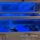 모현사거리(건재상 앞) | 익산 모현동 가성비 좋은 연탄구이 맛집 | 상록회관 익산모현점 내돈내산 후기