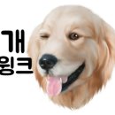 닥터호오 동물병원 이미지